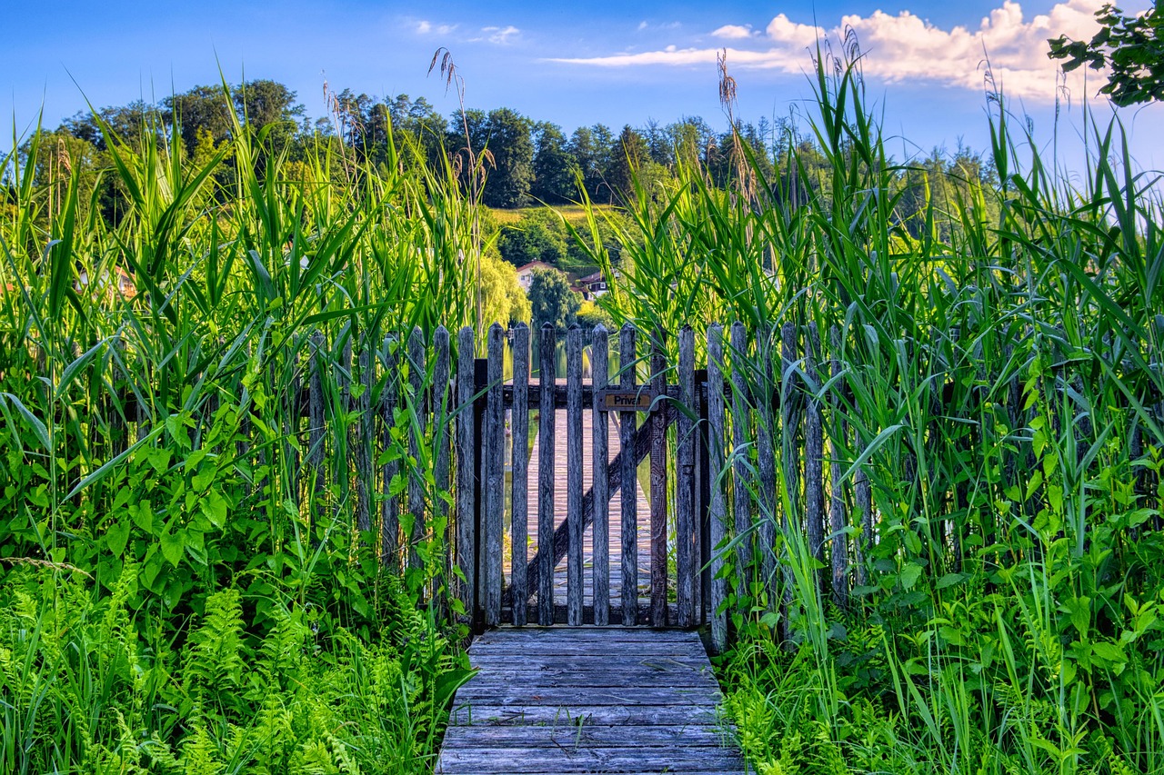 garden fence, wooden fence, wooden door, gate, entrance, barrier, border, wood, security, door, garden gate, garden gate, garden gate, garden gate, garden gate, garden gate